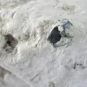 Pyrite, Sericite - image 2