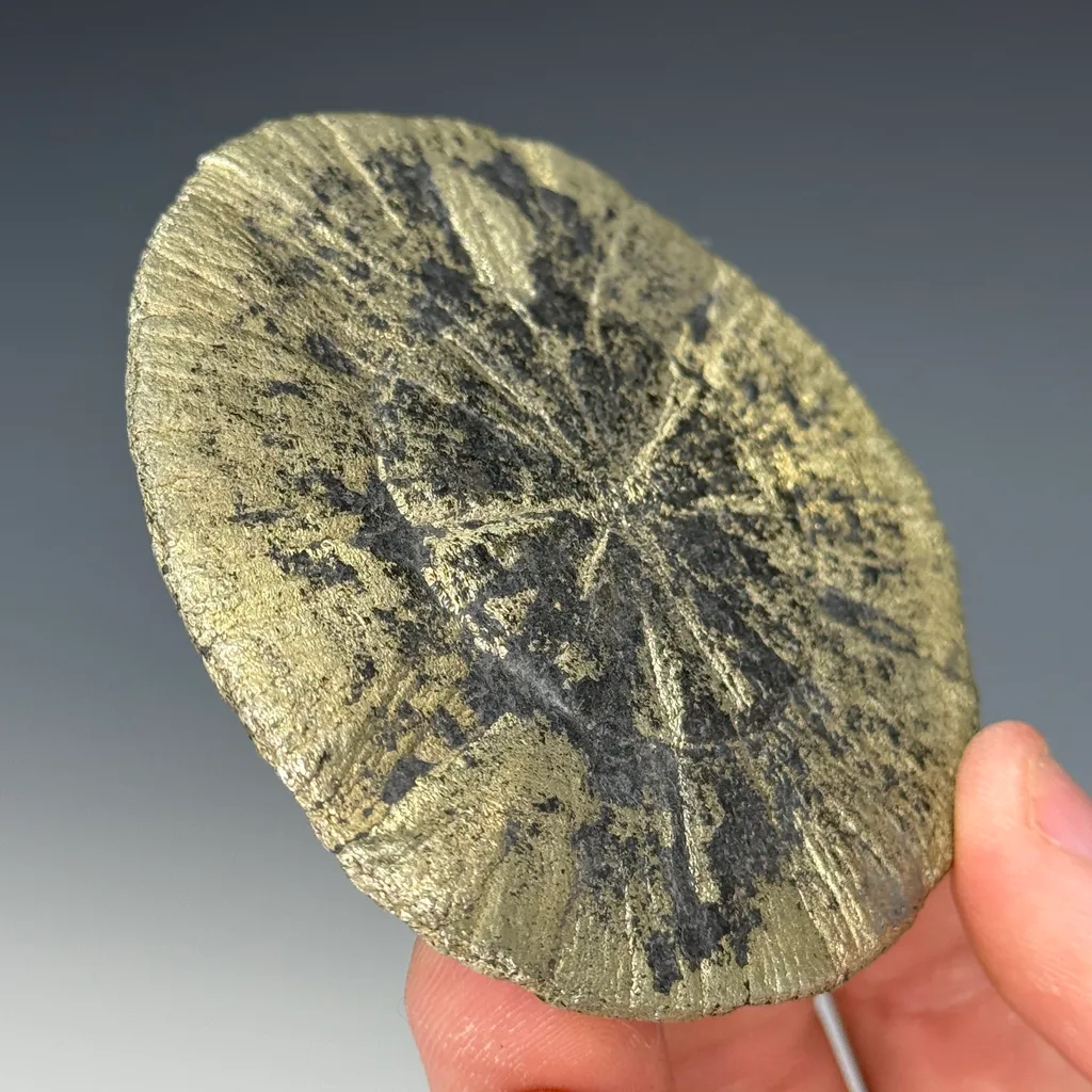 Pyrite Sun - image 2