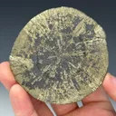 Pyrite Sun - image 1