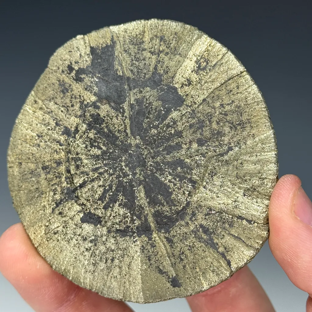 Pyrite Sun - image 4