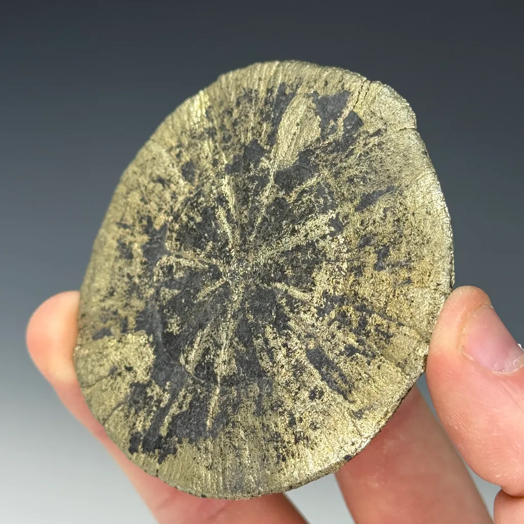 Pyrite Sun - image 3