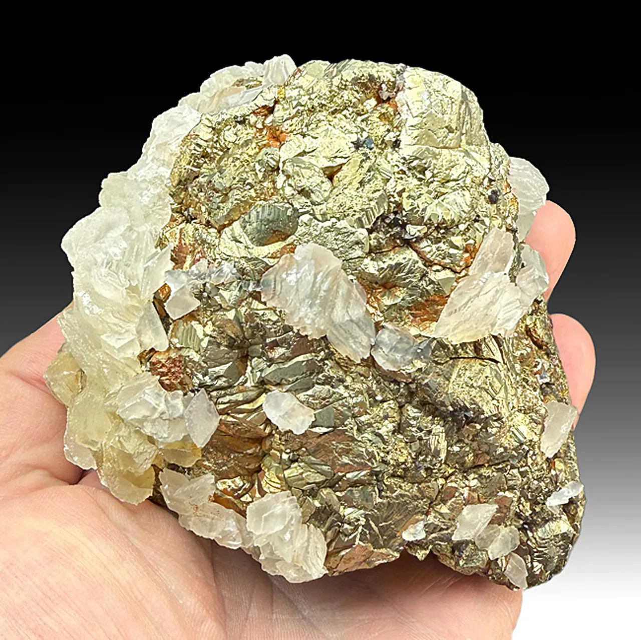 Pyrite with Calcite - image 1
