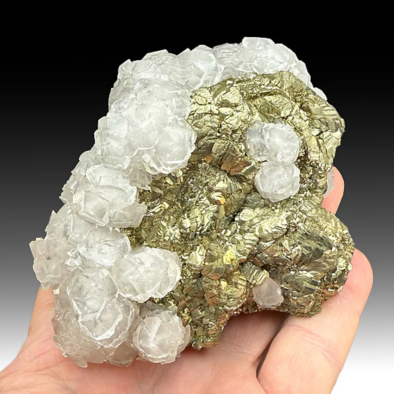 Pyrite with Calcite - image 1