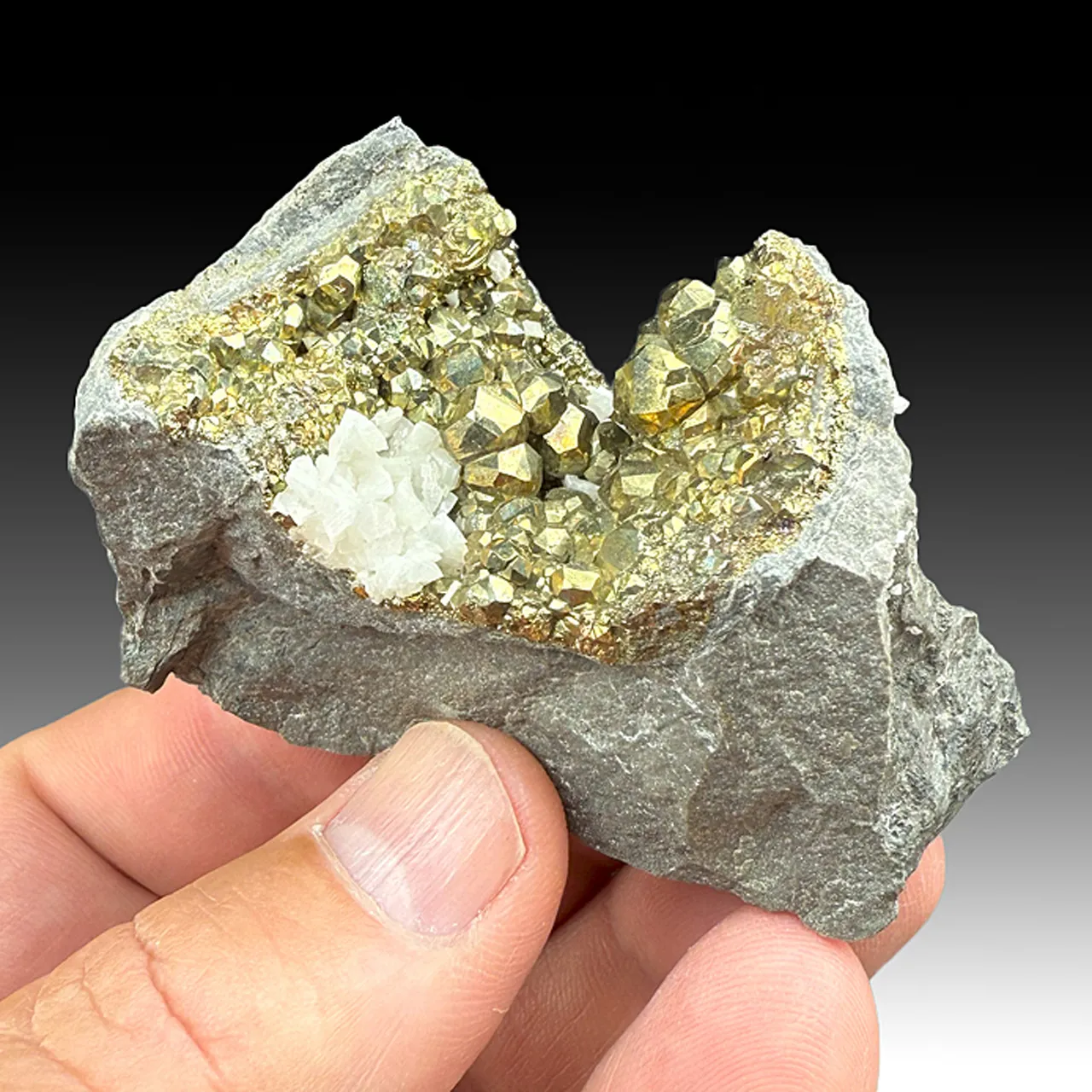Pyrite with Dolomite (1153) - image 1