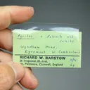 Pyrite with Dolomite, Calcite - image 2