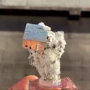 Pyrite with Fluorapatites - image 5