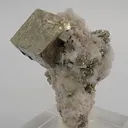 Pyrite with Fluorapatites - image 1