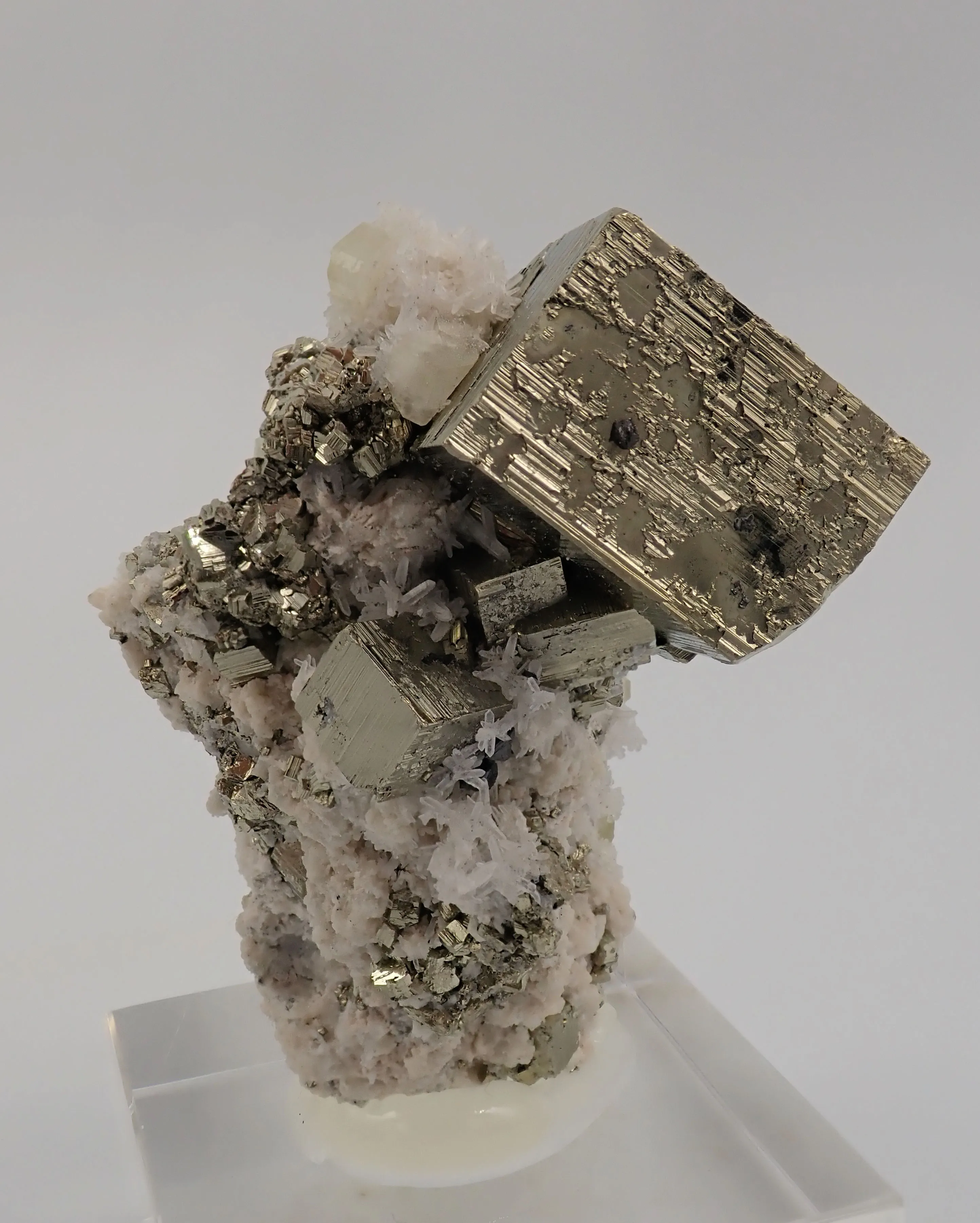 Pyrite with Fluorapatites - image 4