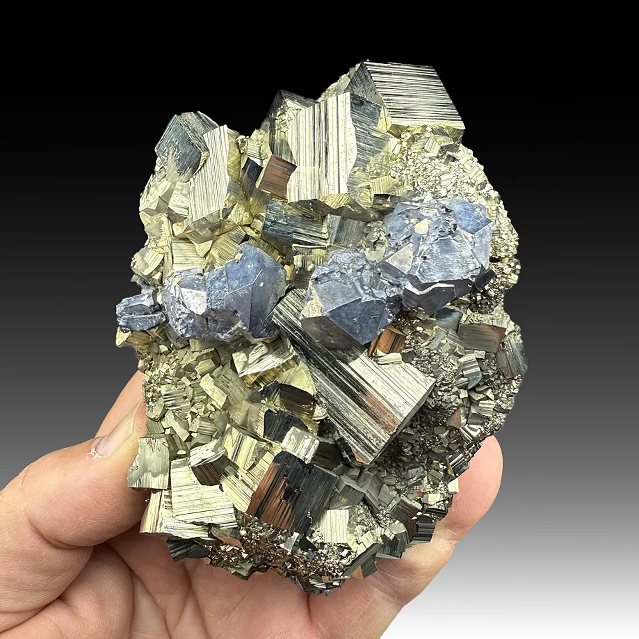 Pyrite with Galena - image 1