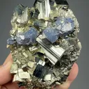 Pyrite with Galena - image 2