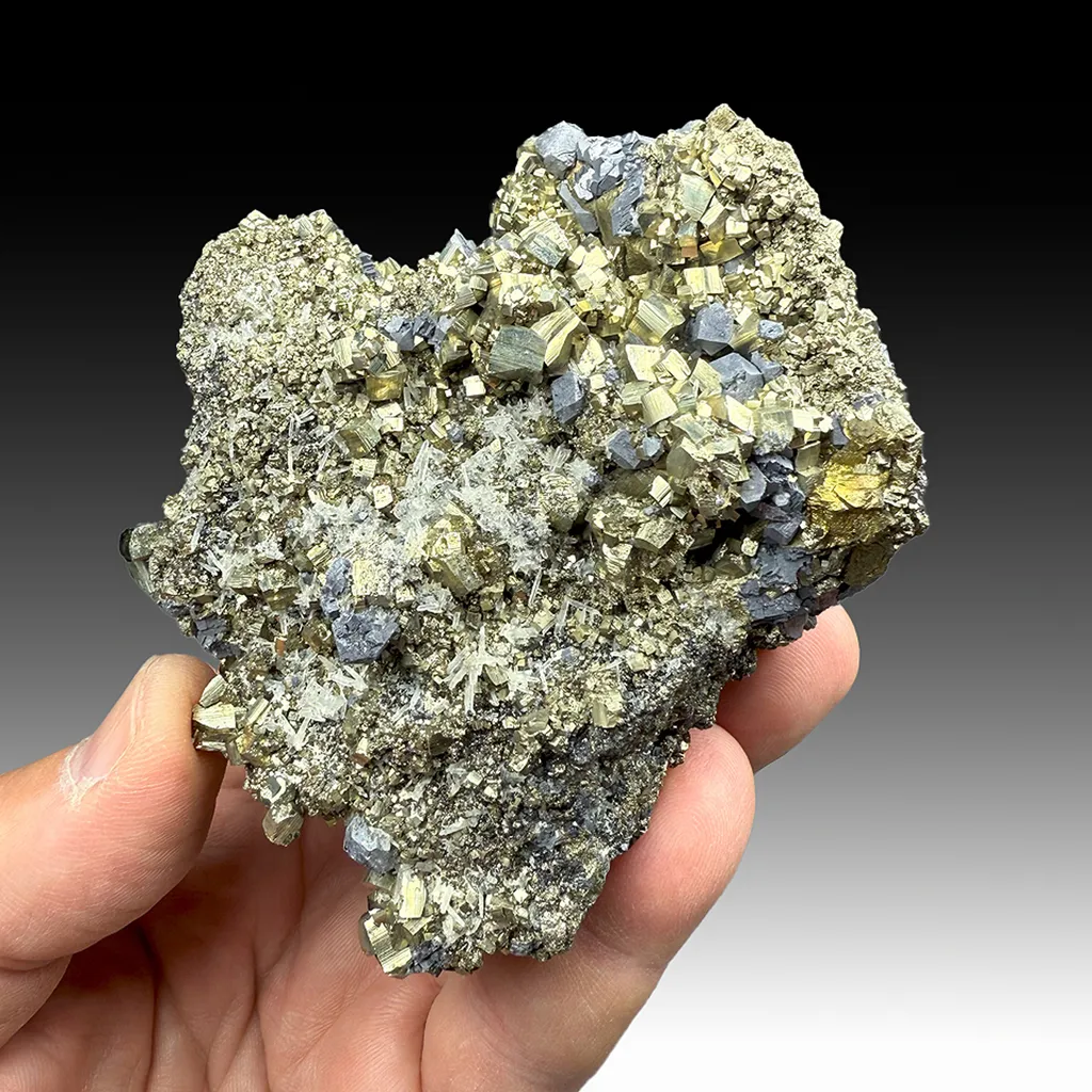 Pyrite with Galena, Quartz image
