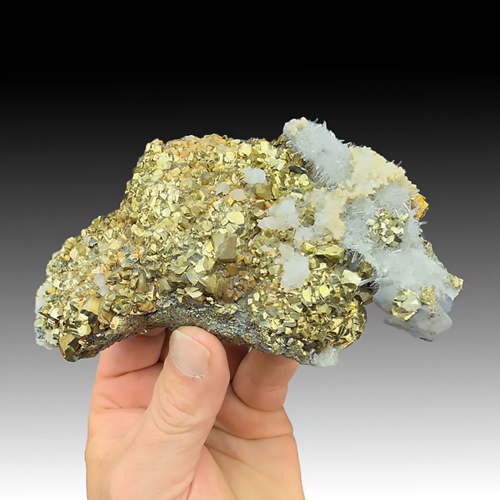 Pyrite with Galena, Quartz, Chalcopyrite image