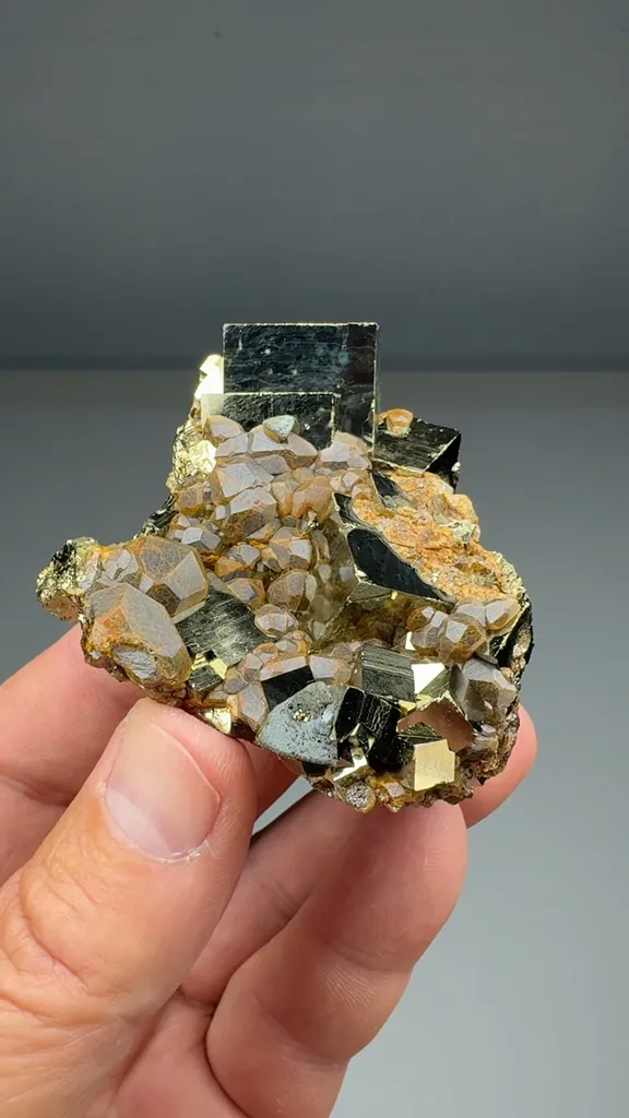 Pyrite with Grossular (O-0025) image