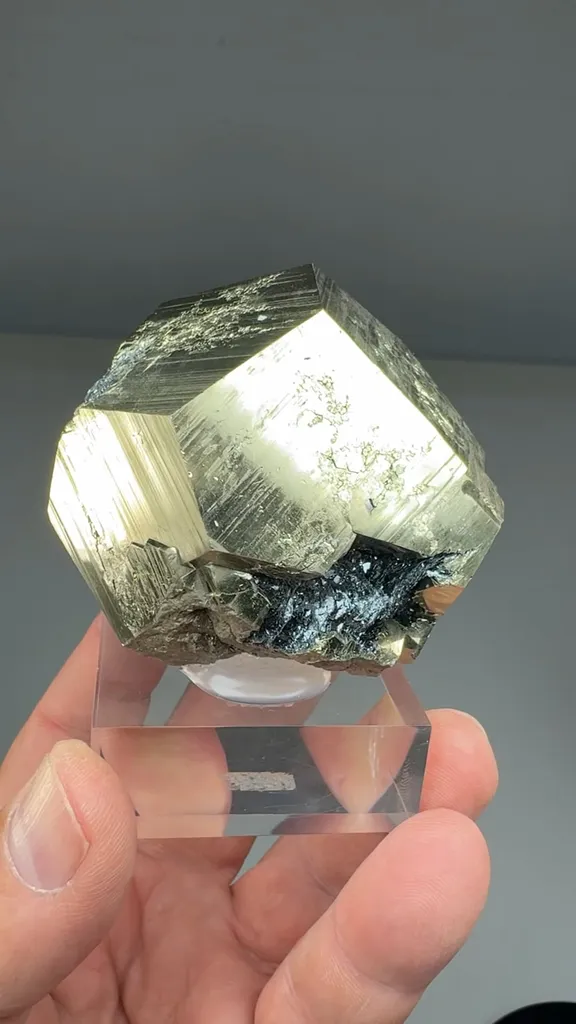 Pyrite with Hematite image