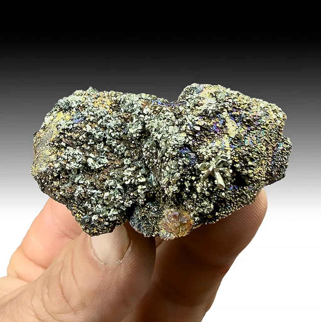 Pyrite with Marcasite on Sphalerite image