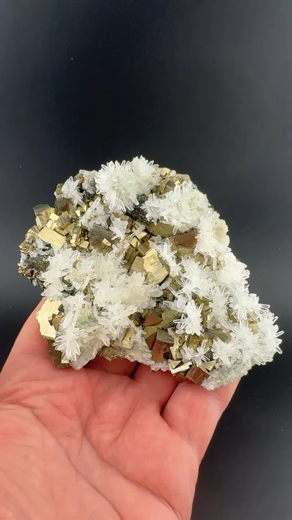 Pyrite with Quartz image