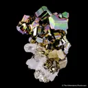 Pyrite with Quartz - image 5