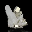 Pyrite with Quartz - image 2