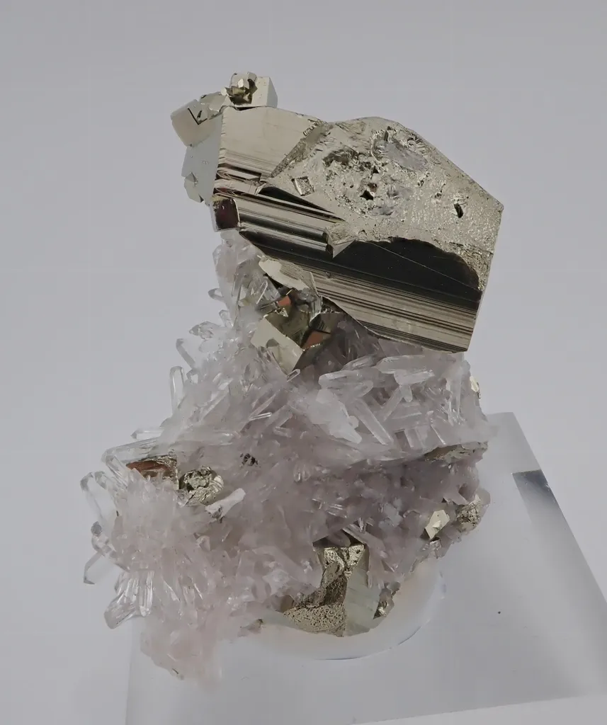 Pyrite with Quartz image