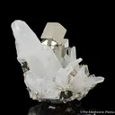 Pyrite with Quartz - image 3