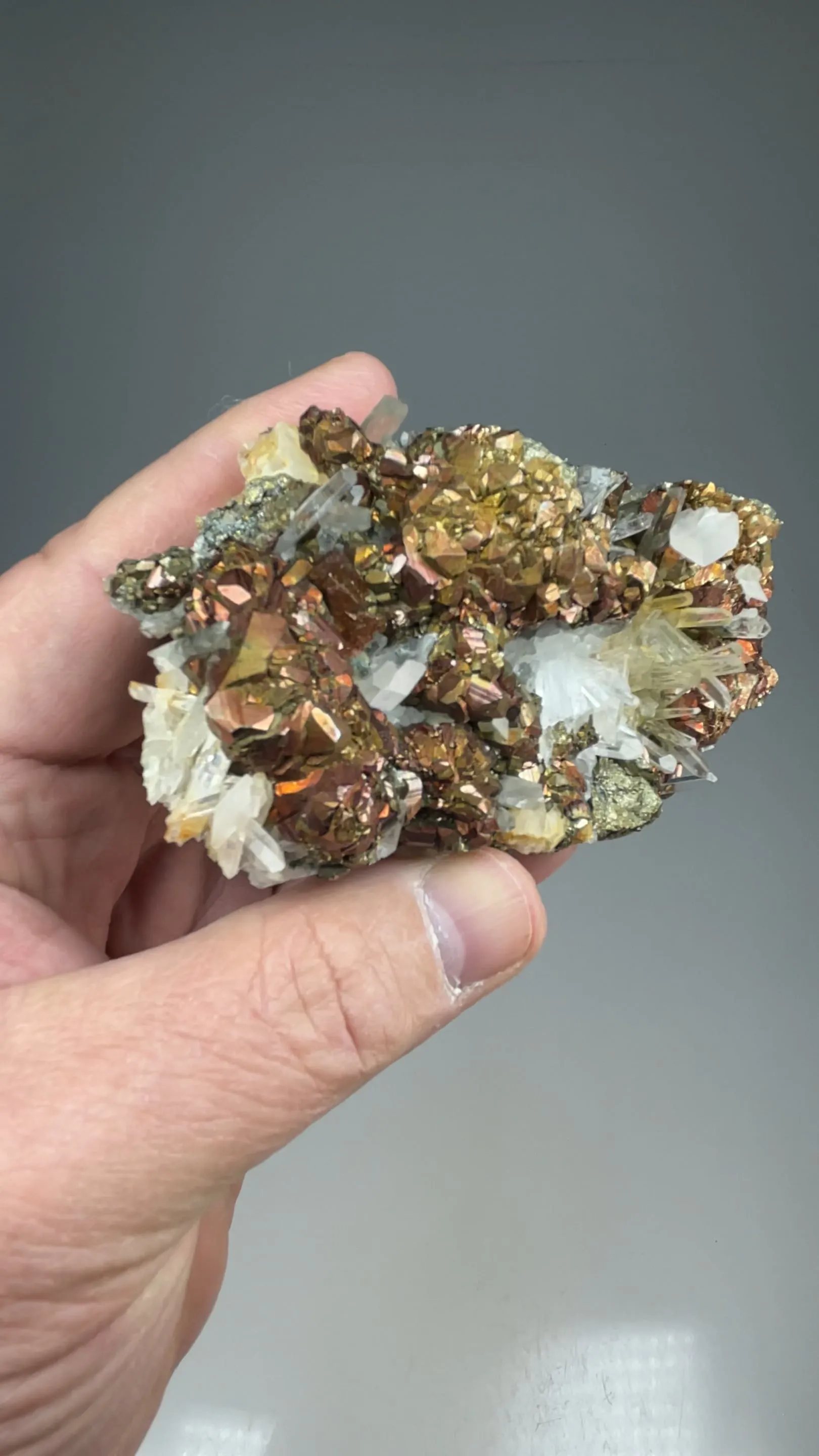 Pyrite with Quartz - image 2