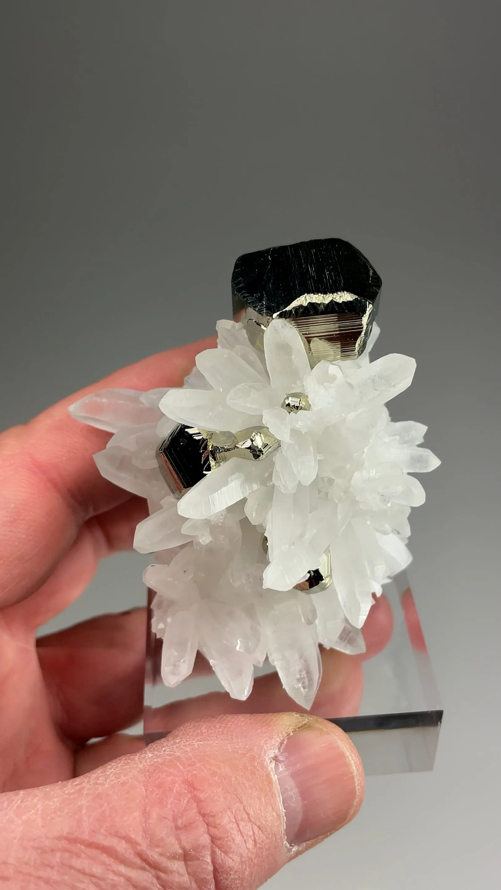 Pyrite with Quartz - image 2