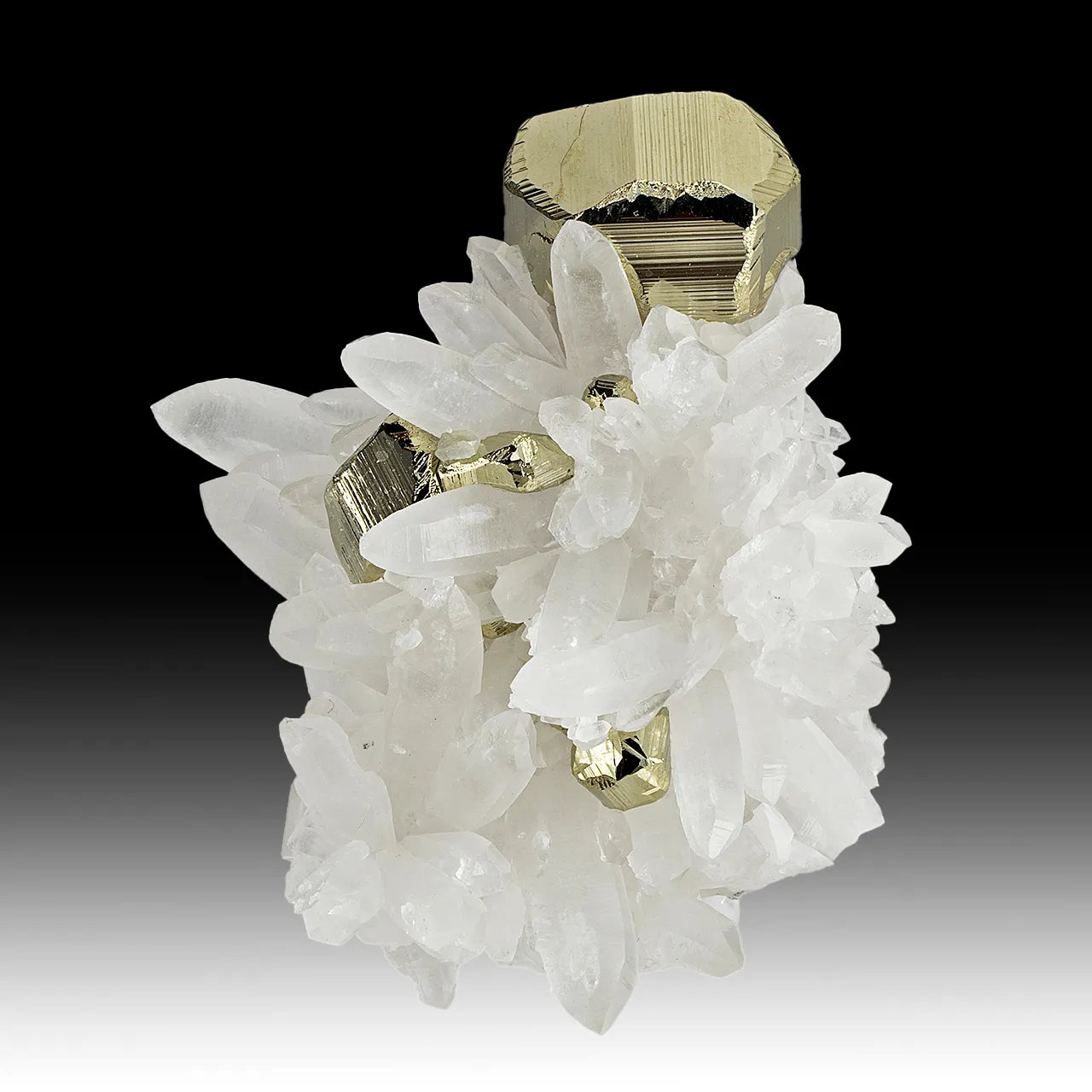 Pyrite with Quartz - image 1