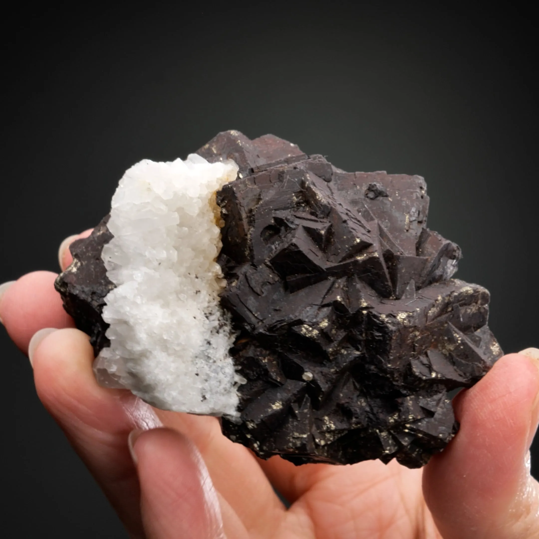Pyrite with Quartz - image 2