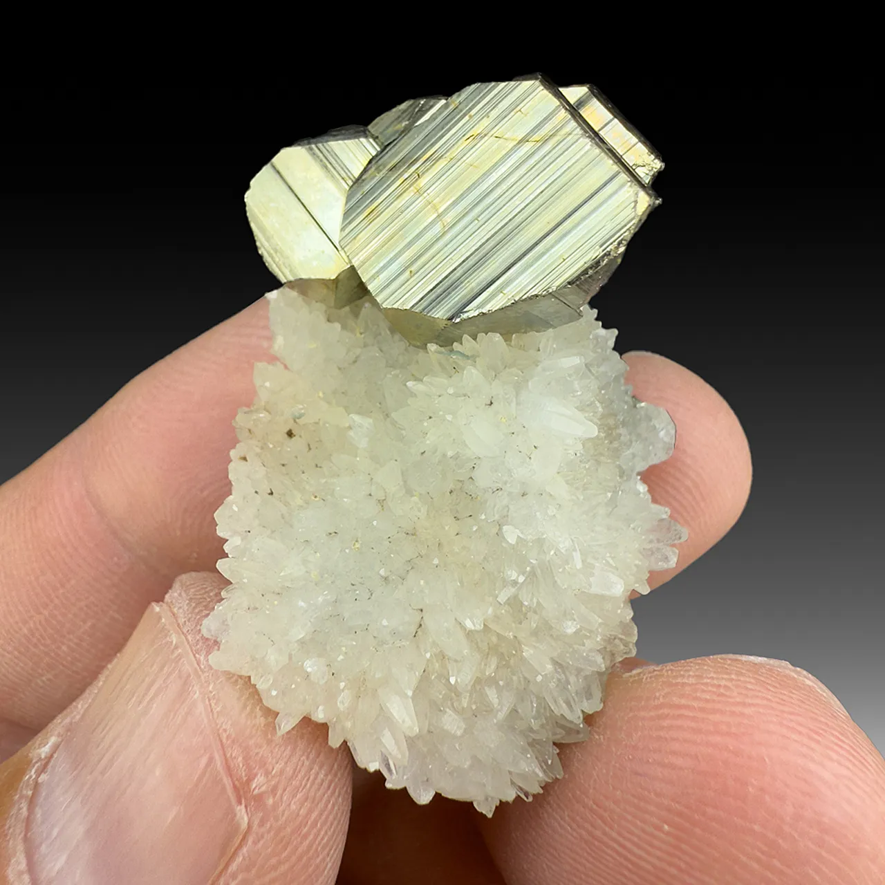 Pyrite with Quartz - image 1