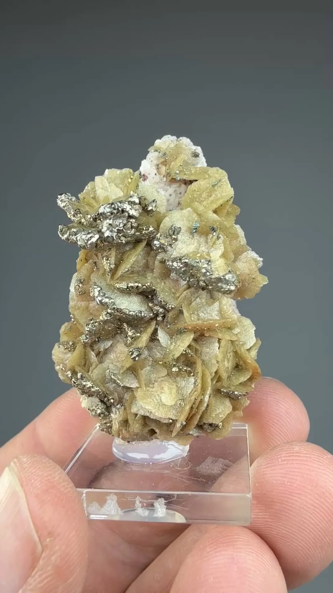 Pyrite with Siderite - image 2