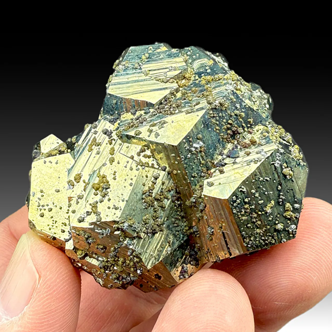 Pyrite with Sphalerite - image 1
