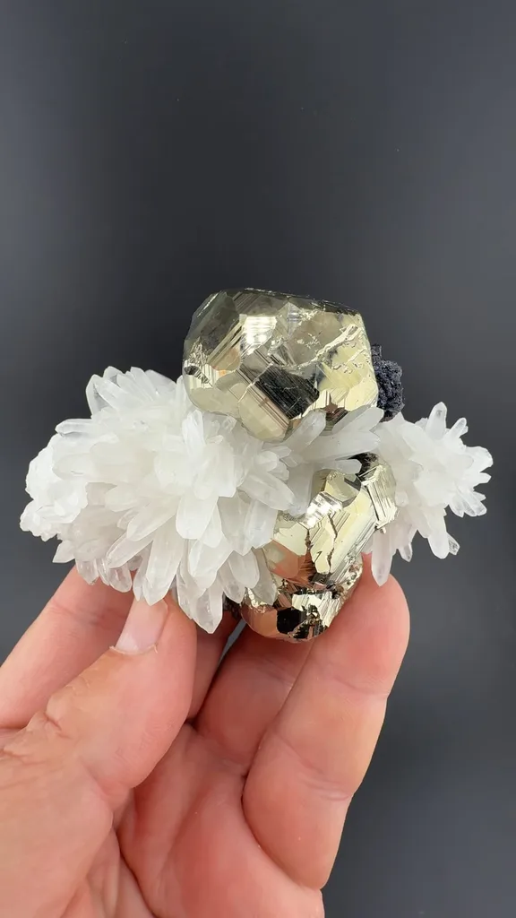 Pyrite with Sphalerite, Quartz - image 2