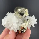 Pyrite with Sphalerite, Quartz - image 2