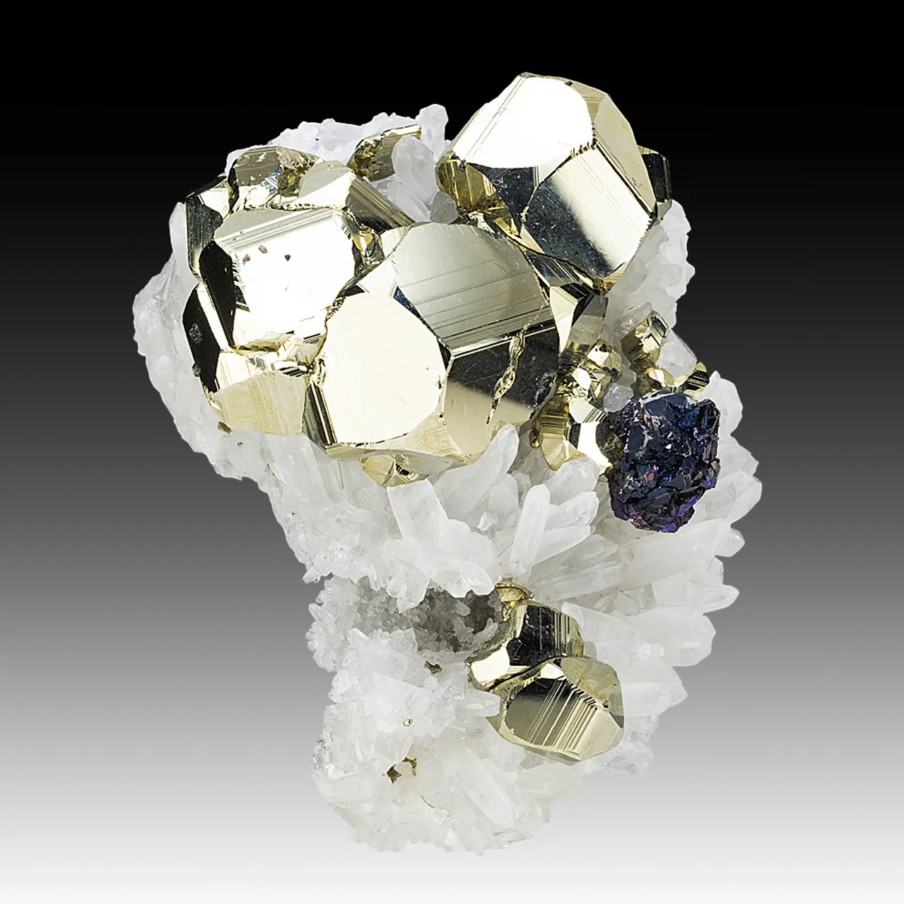 Pyrite with Sphalerite, Quartz - image 1