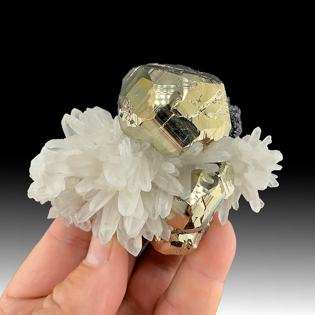 Pyrite with Sphalerite, Quartz - image 1