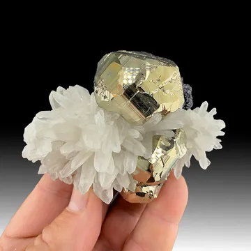 Pyrite with Sphalerite, Quartz