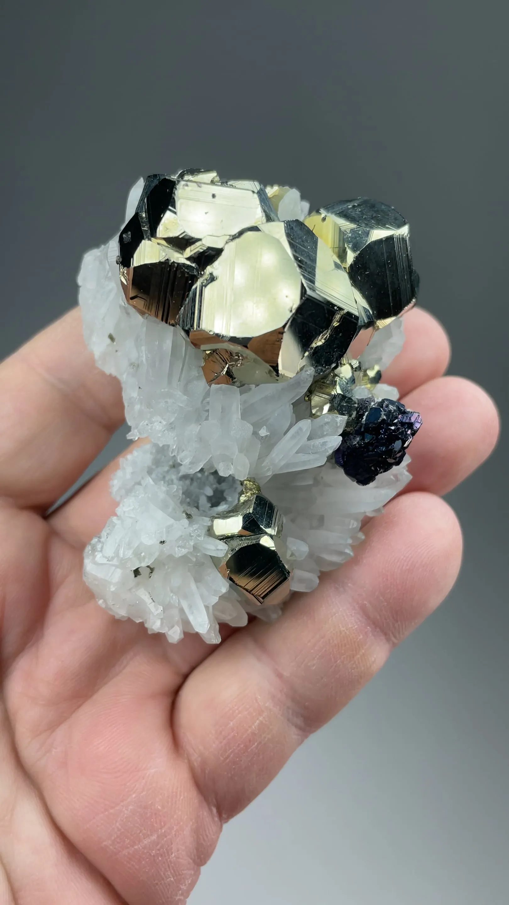 Pyrite with Sphalerite, Quartz - image 2