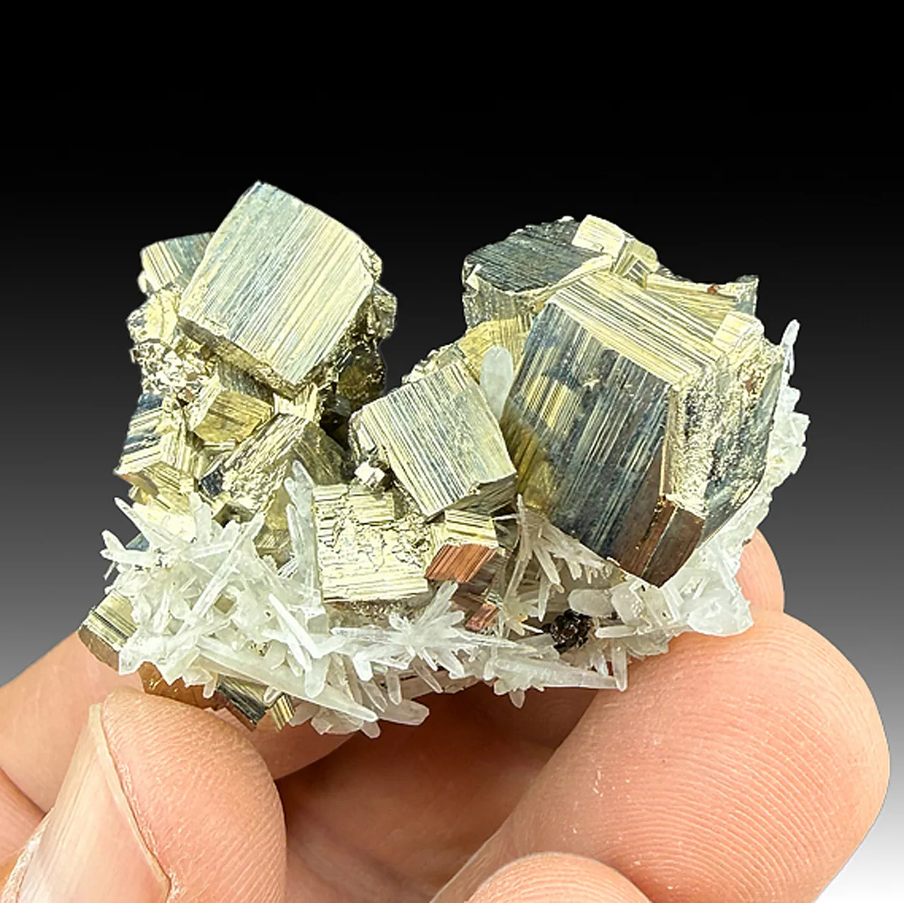Pyrite with Sphalerite, Quartz - image 1