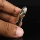 Pyritized Ammonite Natural Mineral Specimen - image 5