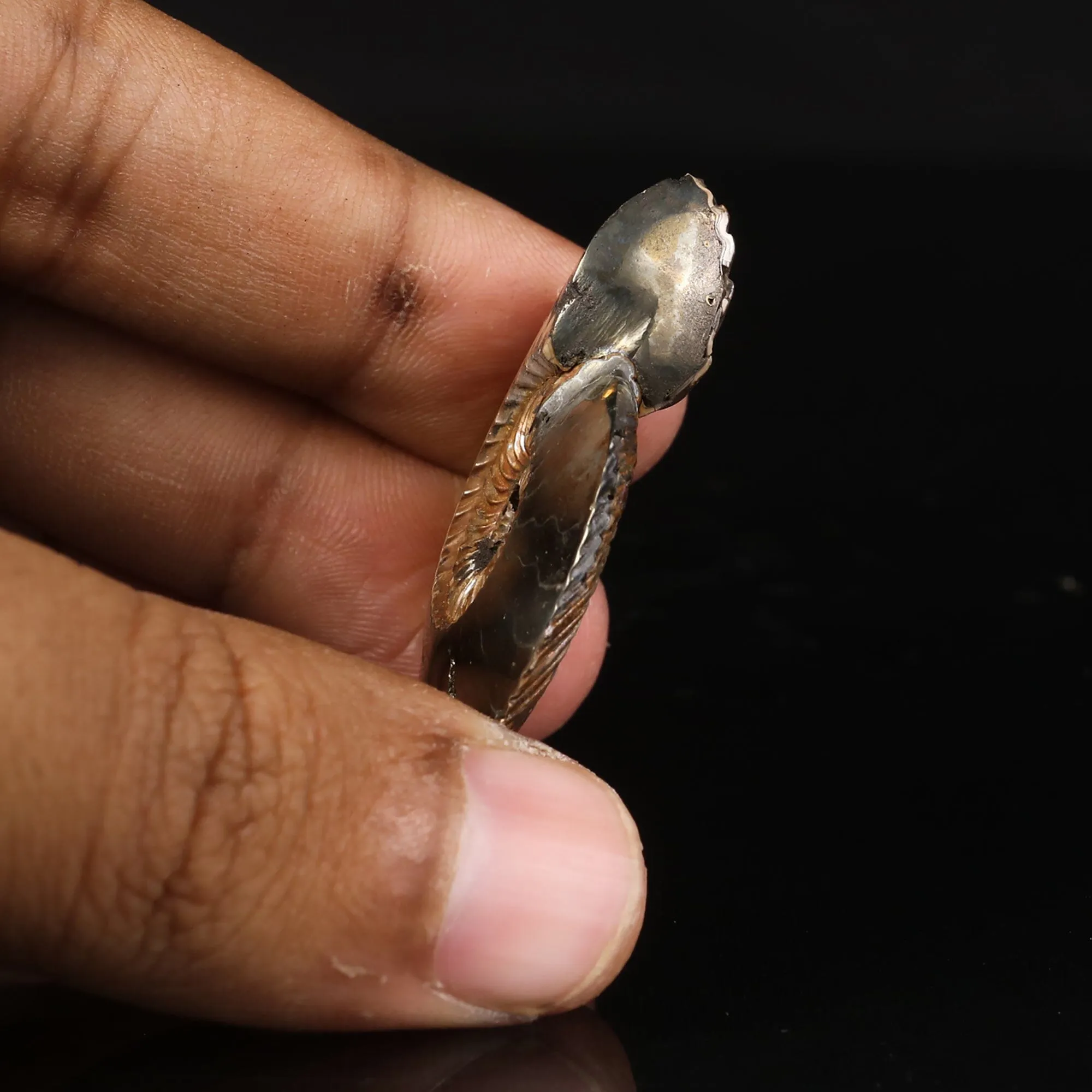 Pyritized Ammonite Natural Mineral Specimen - image 5