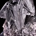 Pyrolusite on Rhodochrosite - image 4