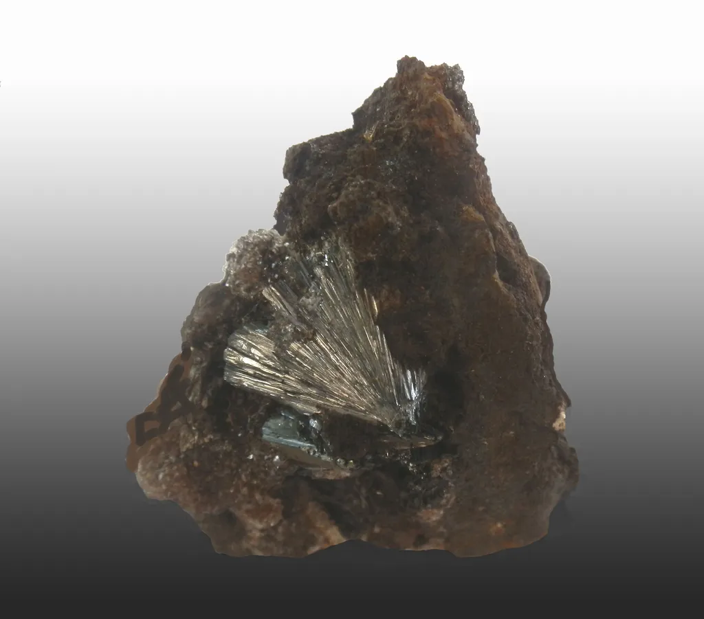 Pyrolusite, Peyrebrune , Tarn, France image