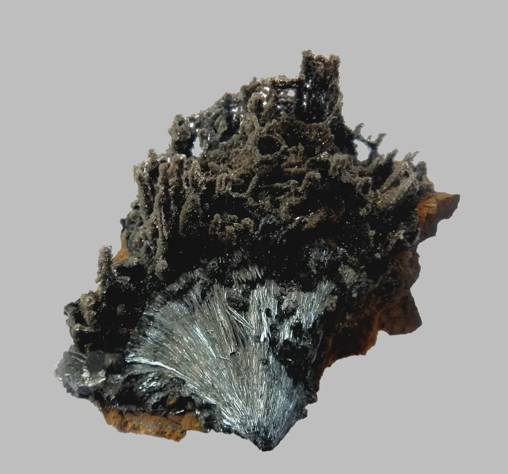 Pyrolusite: Peyrebrune, trouvé Carrière Carceler , France image