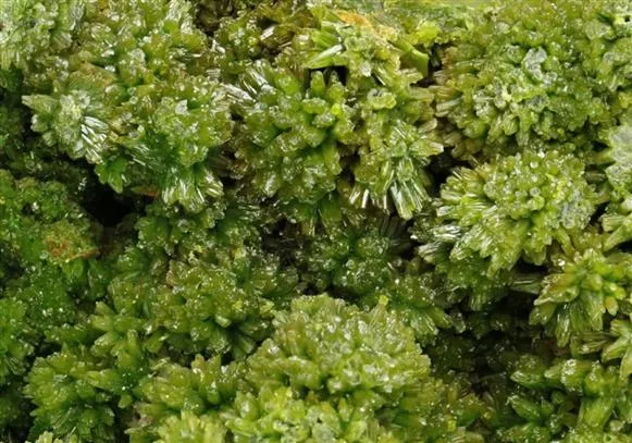 Pyromorphite image