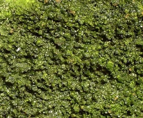 Pyromorphite - image 2