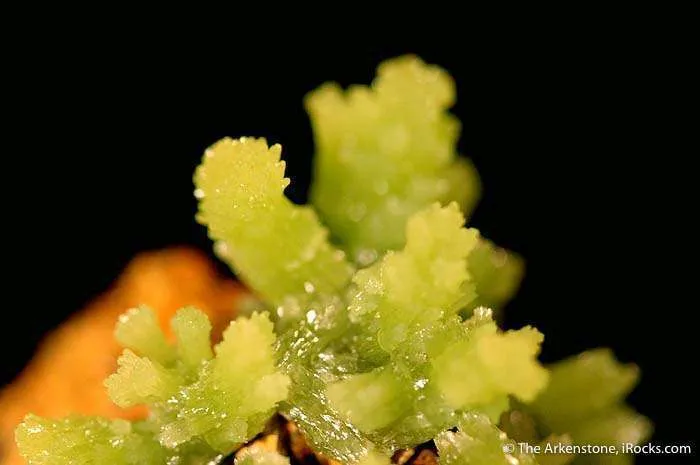 Pyromorphite - image 3