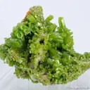 Pyromorphite - image 1