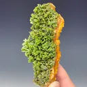 Pyromorphite - image 3