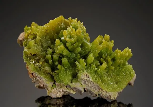 Pyromorphite image