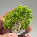 Pyromorphite - image 2